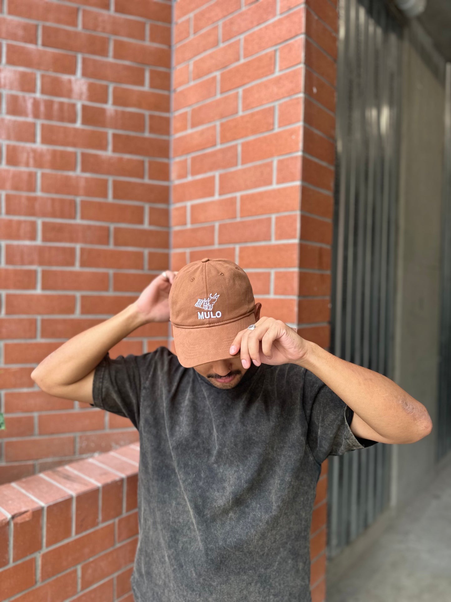 MULO Tipo 09 Dad Cap - Brown